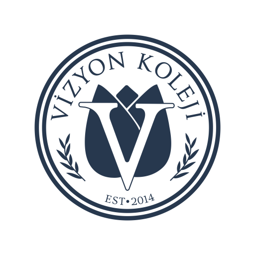 Vizyon Koleji